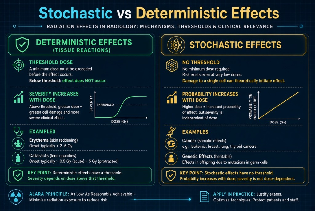 Deterministic effects have a threshold and increase in severity with dose. Stochastic effects have no threshold and increase in probability with dose.